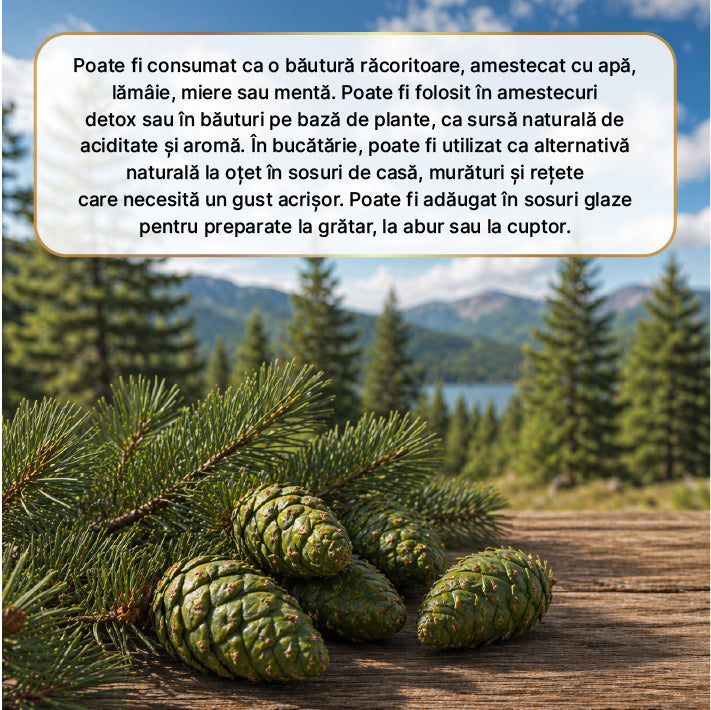 Zuhre Ana Oțet de Pin Natural Fermentat Pine Vinegar 500 ml