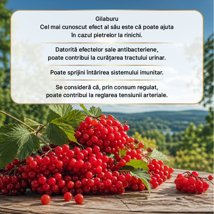 Oțet din fructe de merisor - Fermentat 500 ml