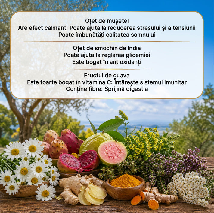 Zuhre Ana Oțet Hurrem Sultan – Fermentație Naturală 500 ml