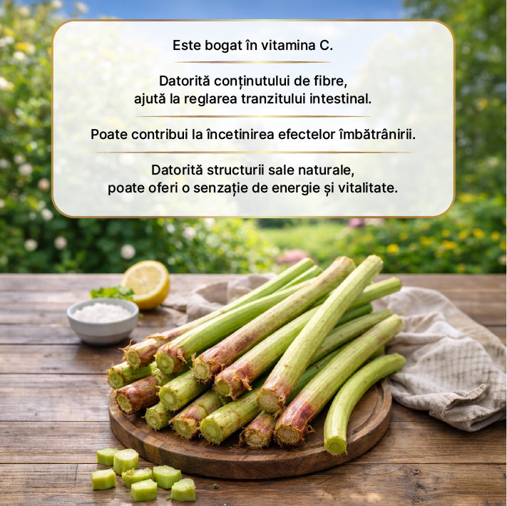 Oțet din Rădăcină de Ișkın Fermentat 500 ml
