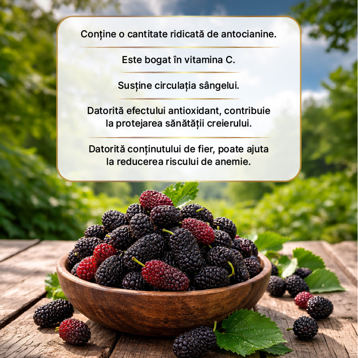 Extract de dud 670 gr