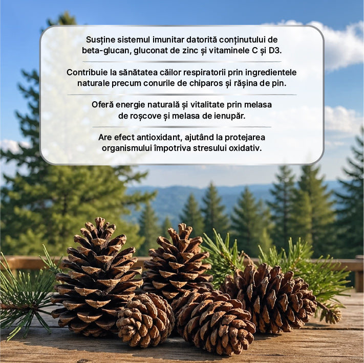 Zuhre Ana Pinecone Pastă 240 gr– Pastă Naturala