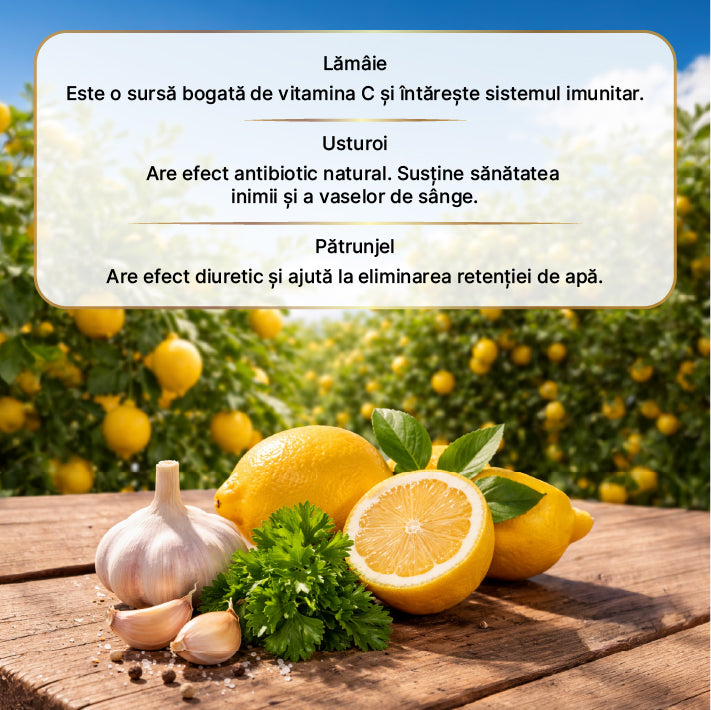 Oțet de Lămâie Usturoi și Pătrunjel Fermentație Naturală 500 ml