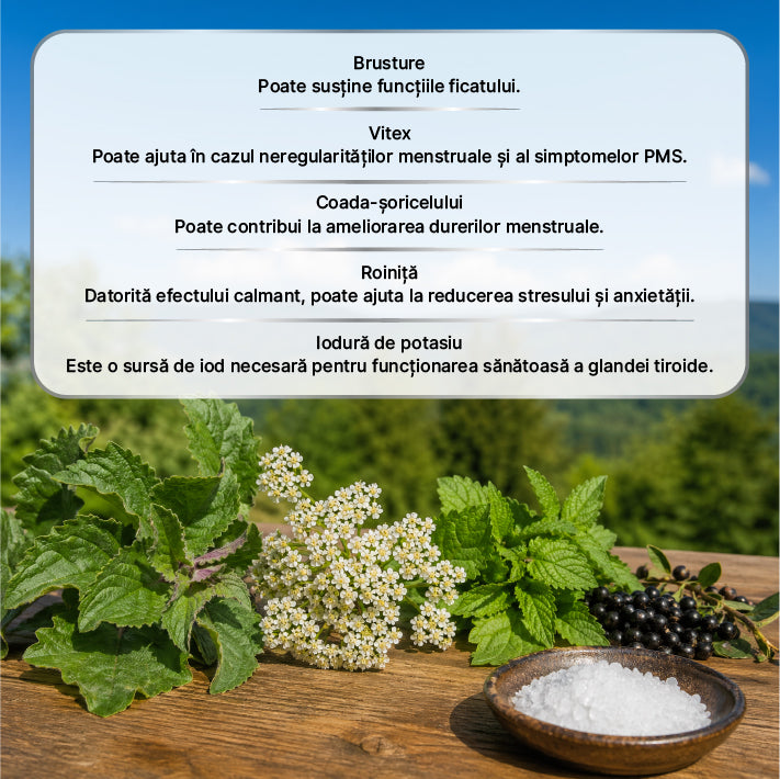 Zuhre Ana Pastă Sultan – Pastă Herbală Tradițională pentru Susținere Zilnică