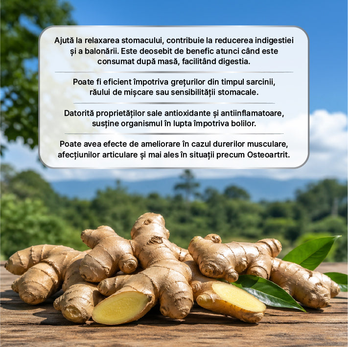 Zuhre Ana Pastă cu Ghimbir 240 gr